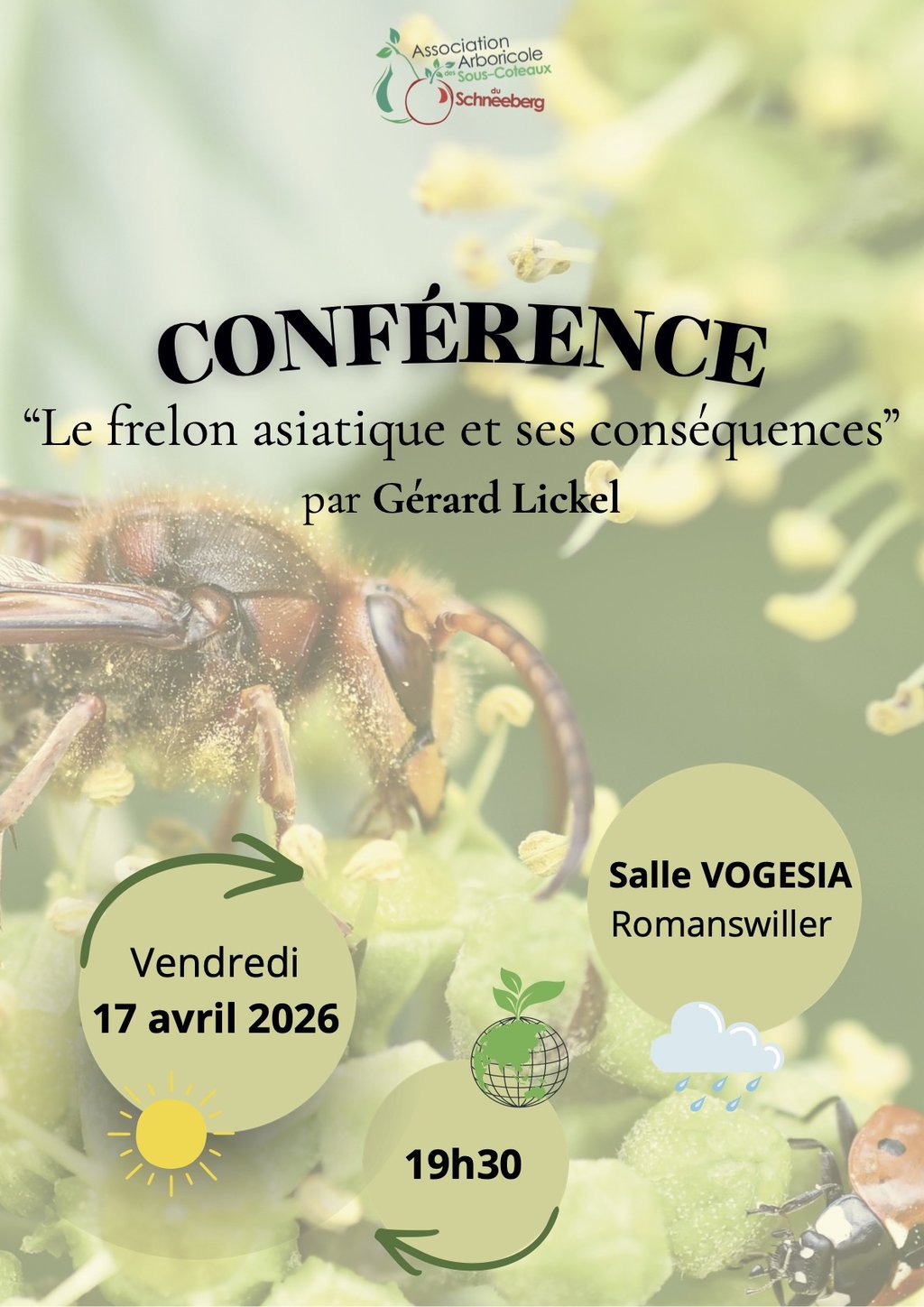 A ROMANSWILLER – Conférence – Frelon asiatique